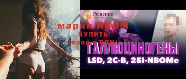 ГАЛЛЮЦИНОГЕННЫЕ ГРИБЫ Аркадак