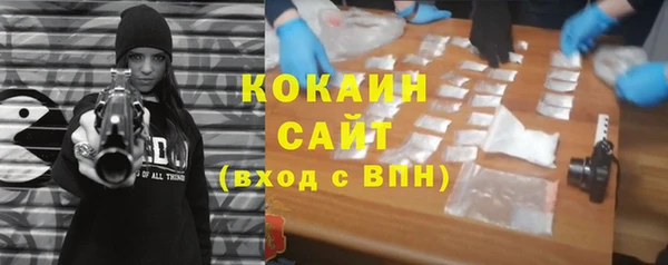 ГАЛЛЮЦИНОГЕННЫЕ ГРИБЫ Аркадак