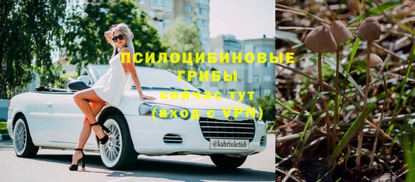 ГАЛЛЮЦИНОГЕННЫЕ ГРИБЫ Аркадак