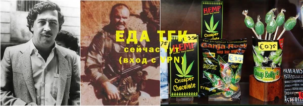 ГАЛЛЮЦИНОГЕННЫЕ ГРИБЫ Аркадак